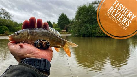 charity farm fishery reviews.